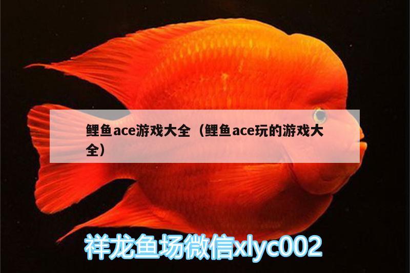 鯉魚ace游戲大全（鯉魚ace玩的游戲大全）