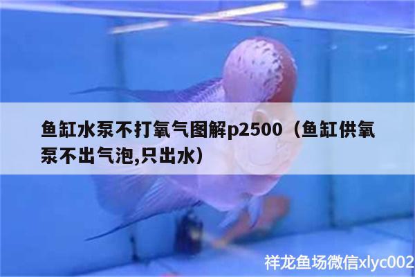 魚缸水泵不打氧氣圖解p2500（魚缸供氧泵不出氣泡,只出水） 魚缸水泵