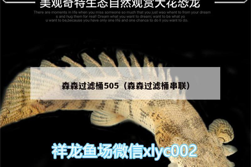 森森過(guò)濾桶505（森森過(guò)濾桶串聯(lián)） 藍(lán)底過(guò)背金龍魚