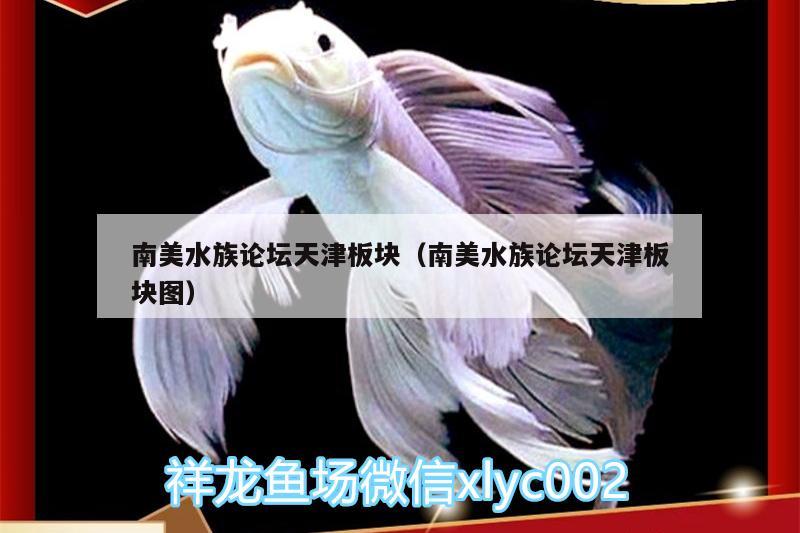 南美水族論壇天津板塊（南美水族論壇天津板塊圖）