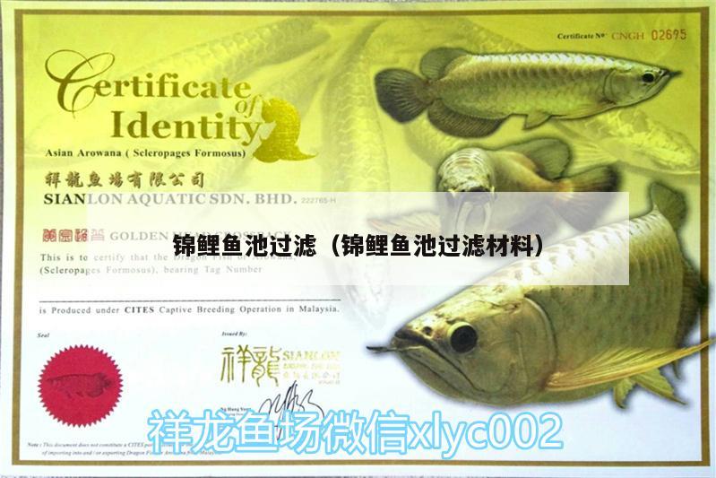 錦鯉魚池過(guò)濾（錦鯉魚池過(guò)濾材料） 水族雜談