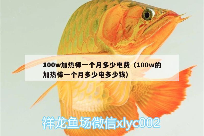 100w加熱棒一個月多少電費（100w的加熱棒一個月多少電多少錢）