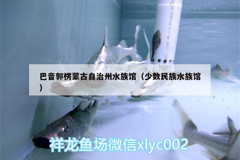 巴音郭楞蒙古自治州水族館（少數(shù)民族水族館）