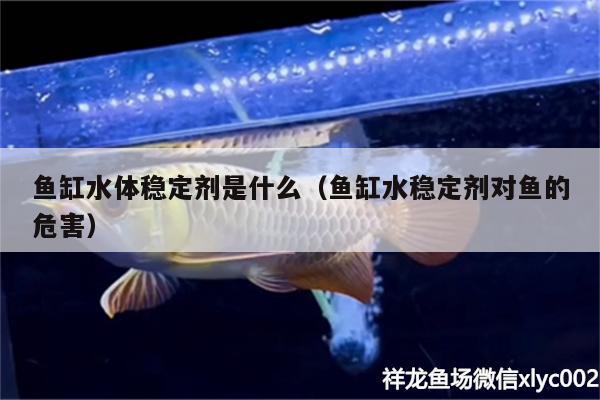 魚缸水體穩(wěn)定劑是什么（魚缸水穩(wěn)定劑對魚的危害）