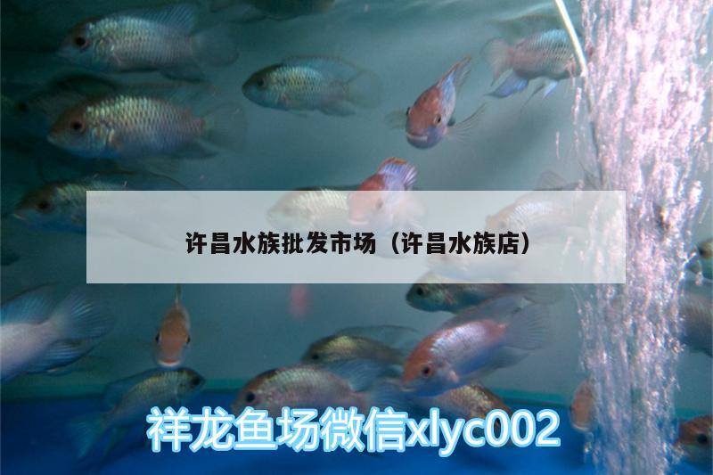 許昌水族批發(fā)市場（許昌水族店）