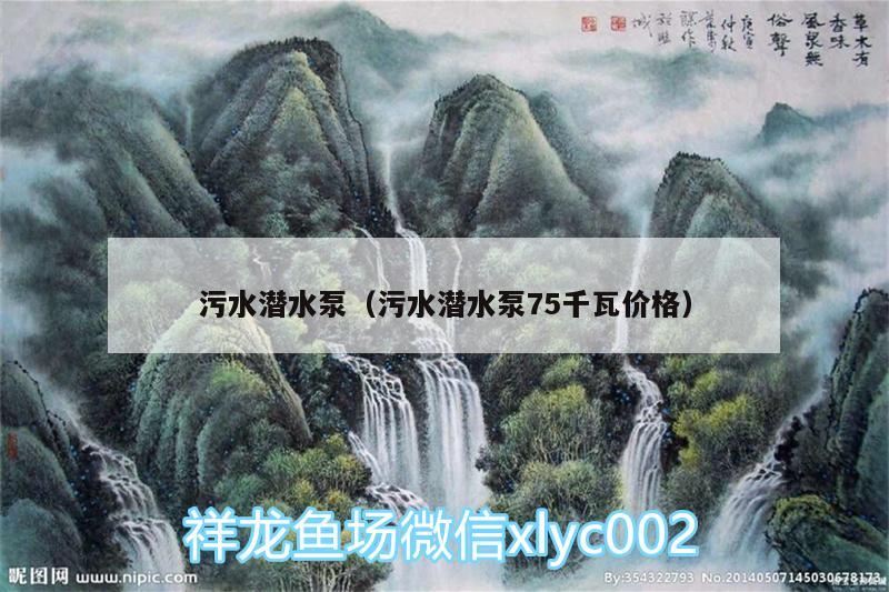 污水潛水泵（污水潛水泵75千瓦價(jià)格） 廣州觀賞魚魚苗批發(fā)市場