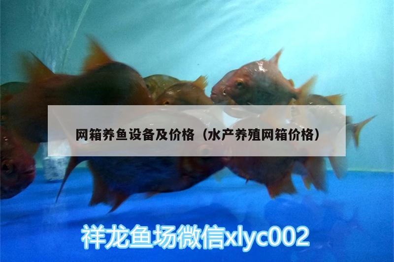 網(wǎng)箱養(yǎng)魚(yú)設(shè)備及價(jià)格（水產(chǎn)養(yǎng)殖網(wǎng)箱價(jià)格） 噴點(diǎn)菠蘿魚(yú)