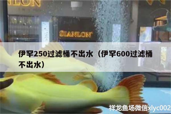 伊罕250過濾桶不出水（伊罕600過濾桶不出水）