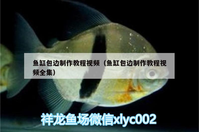 魚缸包邊制作教程視頻（魚缸包邊制作教程視頻全集） 銀古魚苗