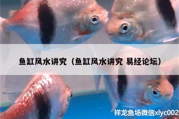 魚缸風(fēng)水講究（魚缸風(fēng)水講究易經(jīng)論壇）