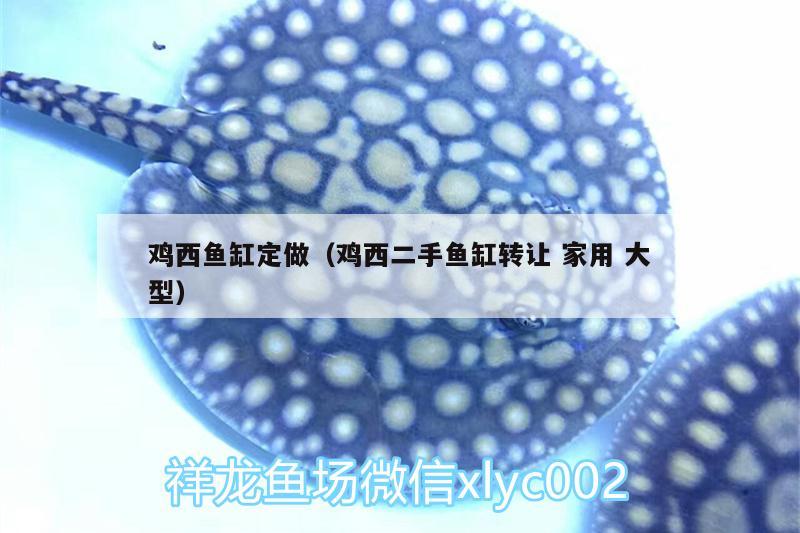 雞西魚缸定做（雞西二手魚缸轉(zhuǎn)讓家用大型）