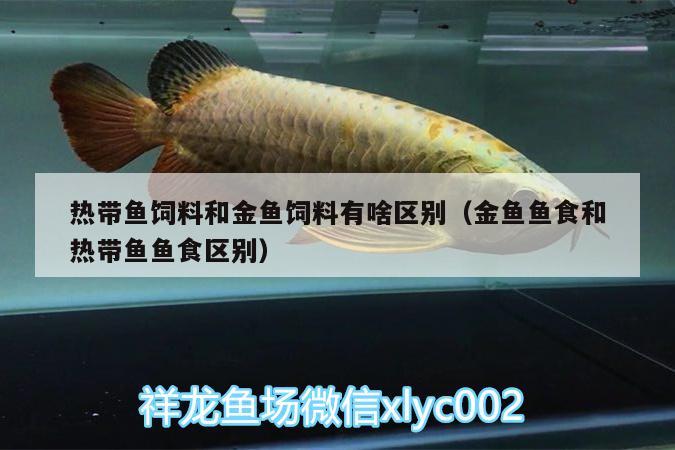 熱帶魚飼料和金魚飼料有啥區(qū)別（金魚魚食和熱帶魚魚食區(qū)別）