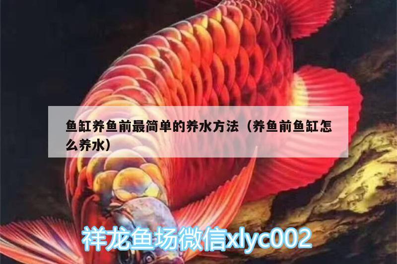 魚(yú)缸養(yǎng)魚(yú)前最簡(jiǎn)單的養(yǎng)水方法（養(yǎng)魚(yú)前魚(yú)缸怎么養(yǎng)水）