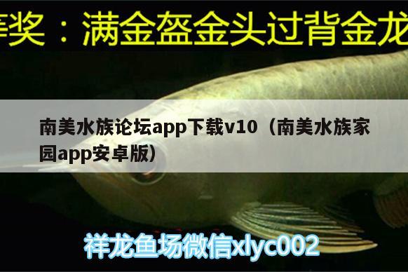 南美水族論壇app下載v10（南美水族家園app安卓版）