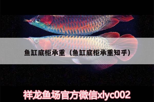 魚缸底柜承重（魚缸底柜承重知乎）