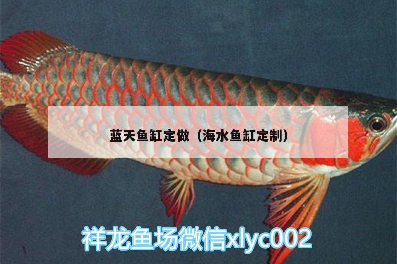 藍(lán)天魚缸定做（海水魚缸定制）