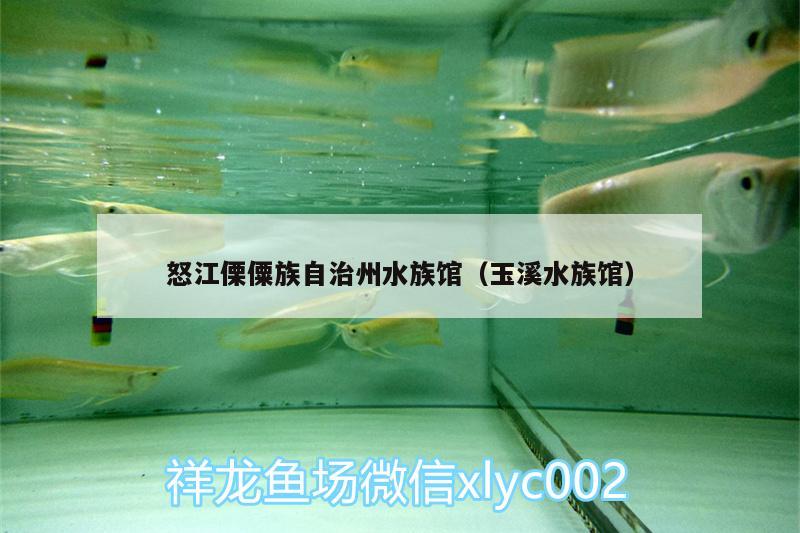 怒江傈僳族自治州水族館（玉溪水族館） 觀賞魚市場(chǎng)（混養(yǎng)魚）