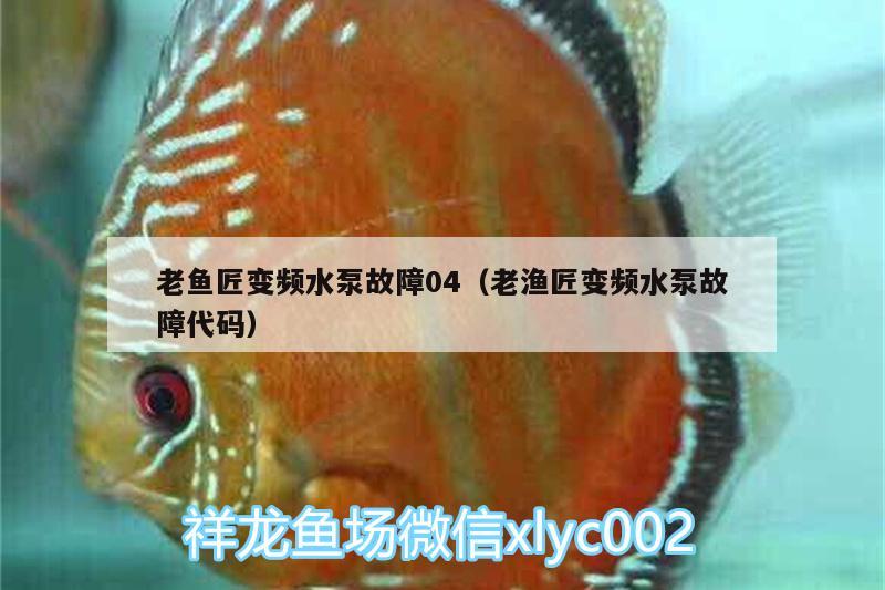 老魚(yú)匠變頻水泵故障04（老漁匠變頻水泵故障代碼） 老魚(yú)匠