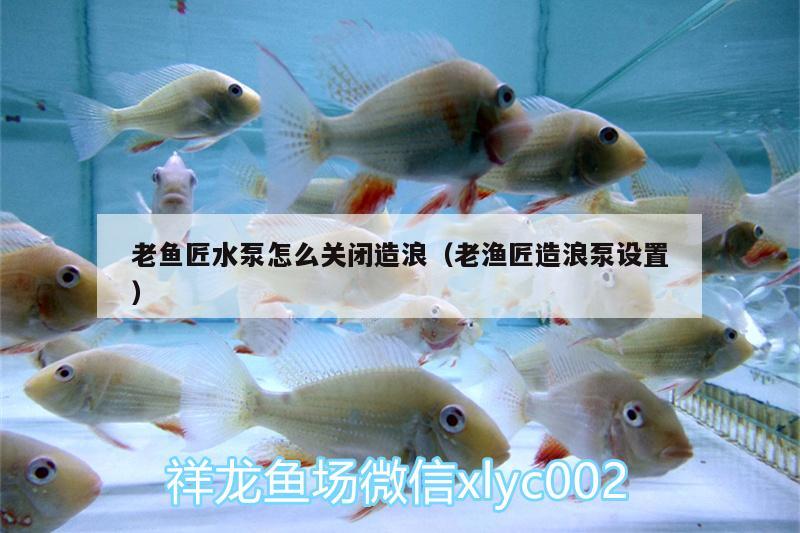 老魚匠水泵怎么關(guān)閉造浪（老漁匠造浪泵設(shè)置）