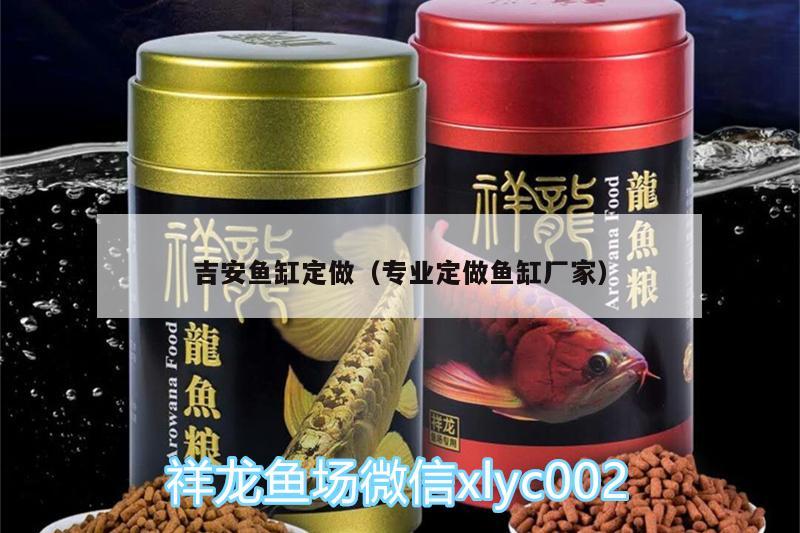 吉安魚缸定做（專業(yè)定做魚缸廠家） 非洲象鼻魚