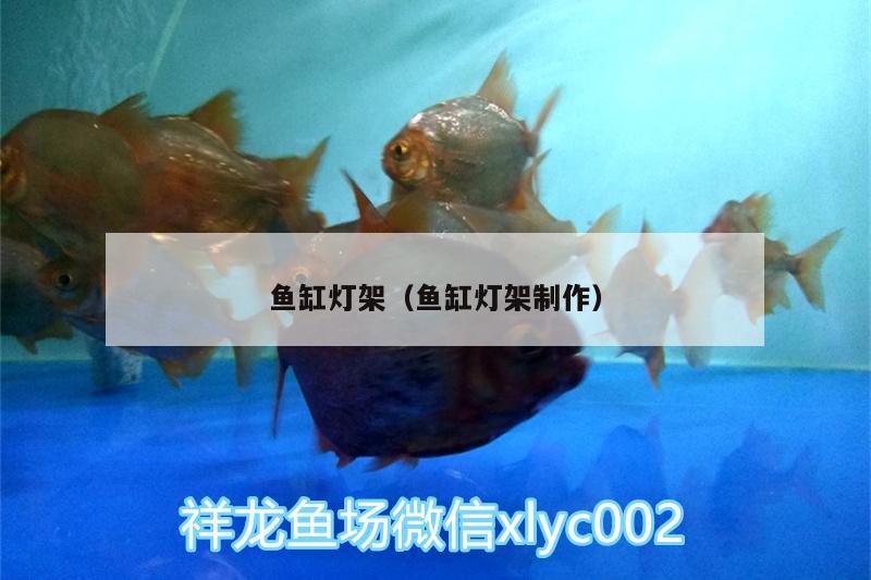 魚缸燈架（魚缸燈架制作） 白化火箭魚