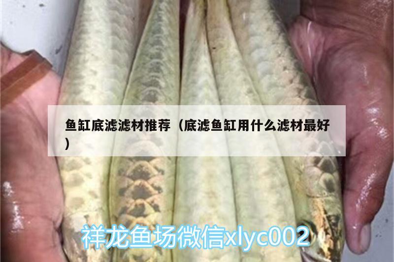 魚(yú)缸底濾濾材推薦（底濾魚(yú)缸用什么濾材最好） 薩伊藍(lán)魚(yú)