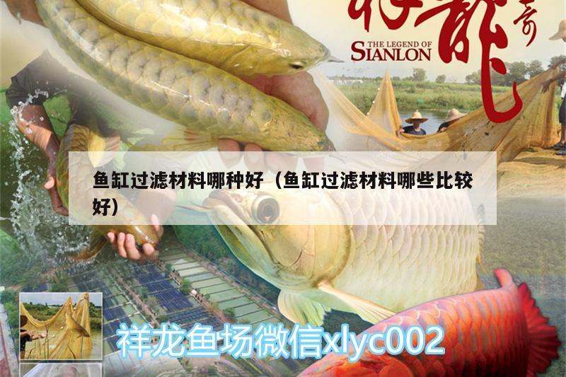 魚缸過濾材料哪種好（魚缸過濾材料哪些比較好）