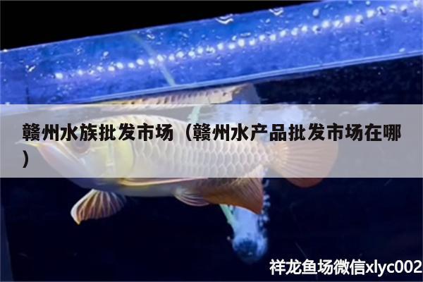 贛州水族批發(fā)市場（贛州水產(chǎn)品批發(fā)市場在哪） 觀賞魚水族批發(fā)市場