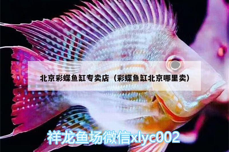 北京彩蝶魚缸專賣店（彩蝶魚缸北京哪里賣）