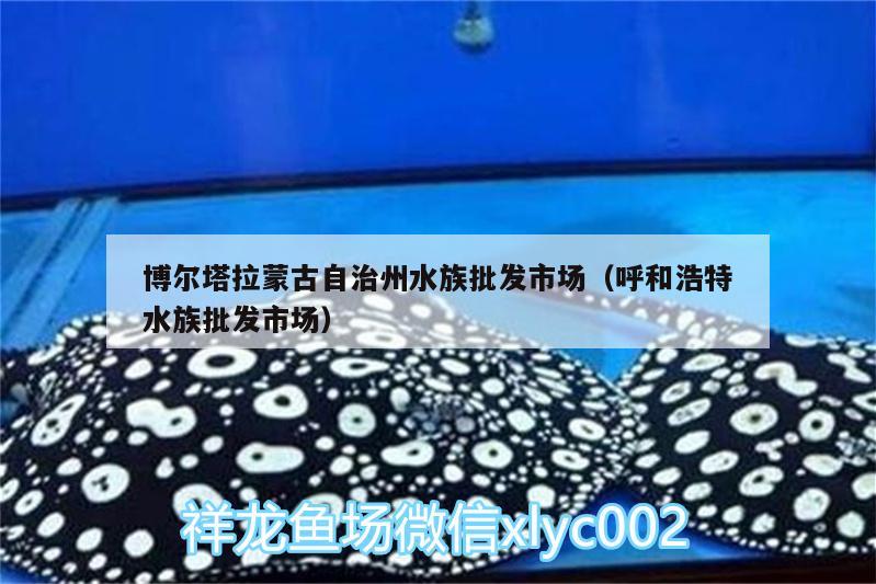 博爾塔拉蒙古自治州水族批發(fā)市場（呼和浩特水族批發(fā)市場） 觀賞魚水族批發(fā)市場