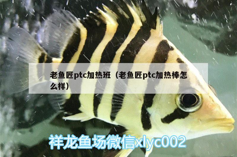 老魚匠ptc加熱班（老魚匠ptc加熱棒怎么樣） 老魚匠