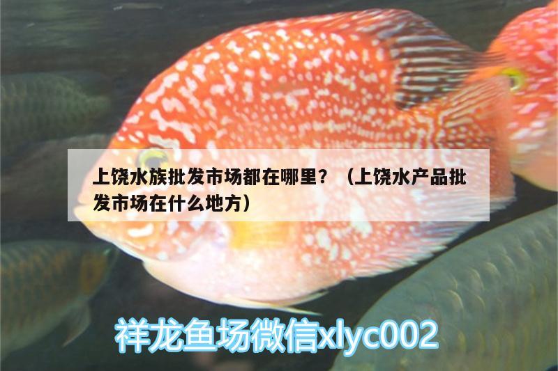 上饒水族批發(fā)市場都在哪里？（上饒水產(chǎn)品批發(fā)市場在什么地方） 觀賞魚水族批發(fā)市場 第2張