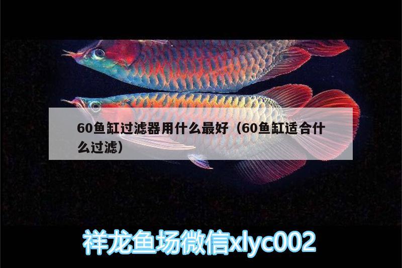 60魚缸過濾器用什么最好（60魚缸適合什么過濾） 魚缸風水