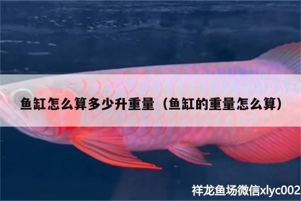 魚(yú)缸怎么算多少升重量（魚(yú)缸的重量怎么算）