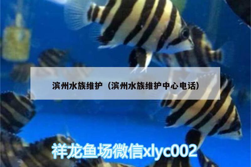 濱州水族維護(hù)（濱州水族維護(hù)中心電話）