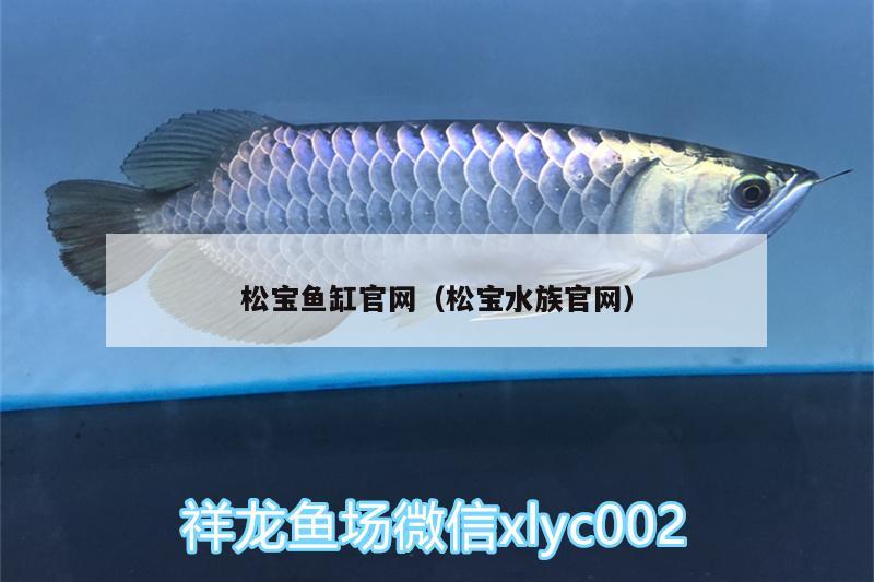 松寶魚缸官網(wǎng)（松寶水族官網(wǎng)）