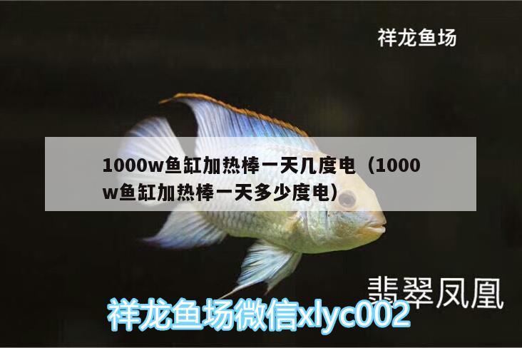 1000w魚缸加熱棒一天幾度電（1000w魚缸加熱棒一天多少度電）