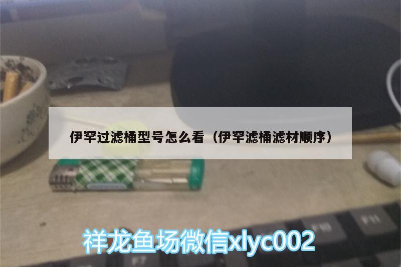 伊罕過濾桶型號怎么看（伊罕濾桶濾材順序） 伊罕水族