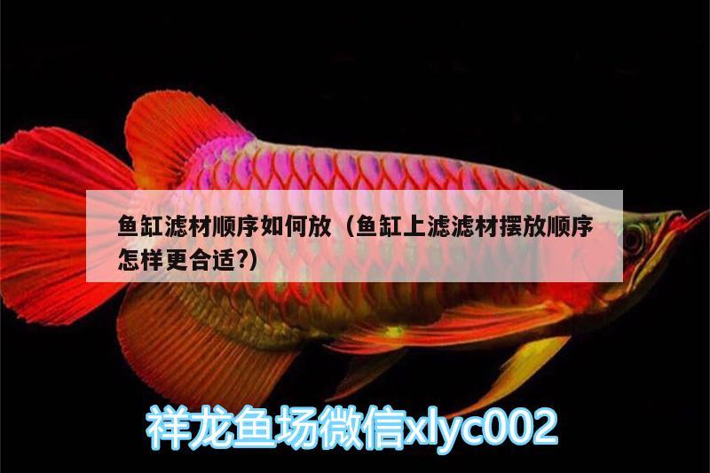 魚缸濾材順序如何放（魚缸上濾濾材擺放順序怎樣更合適?） 斯維尼關(guān)刀魚