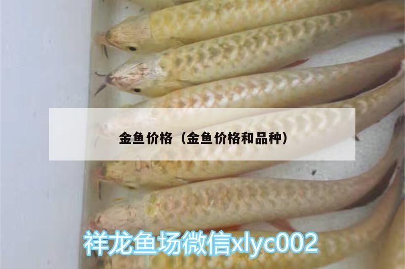 金魚(yú)價(jià)格（金魚(yú)價(jià)格和品種）