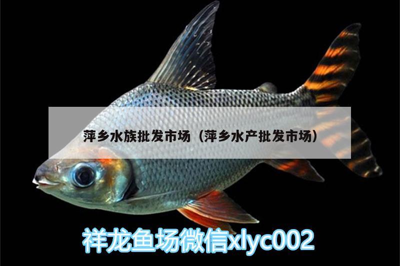 萍鄉(xiāng)水族批發(fā)市場（萍鄉(xiāng)水產(chǎn)批發(fā)市場）