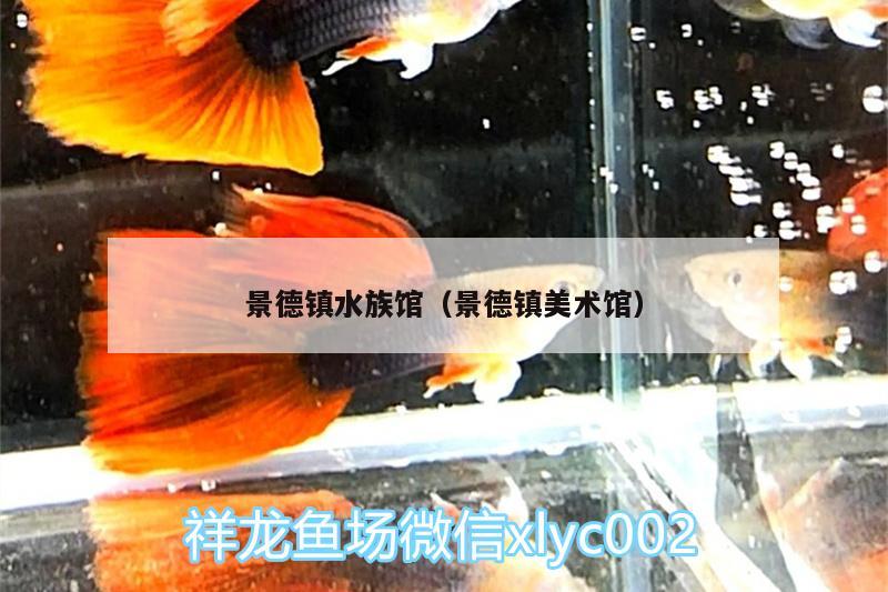 景德鎮(zhèn)水族館（景德鎮(zhèn)美術(shù)館）