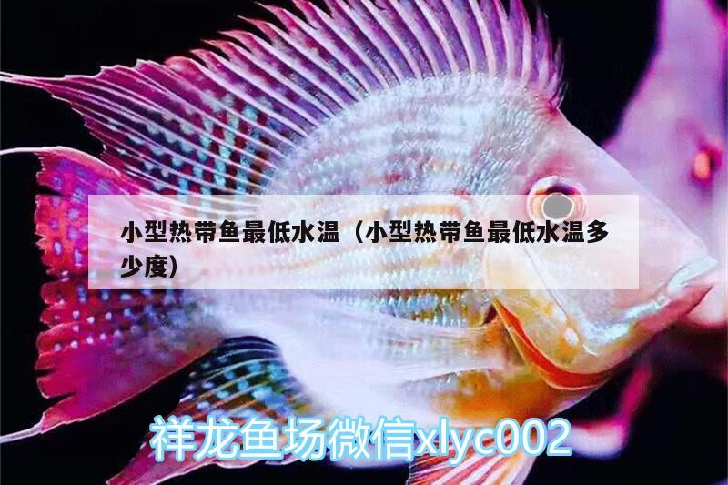 小型熱帶魚(yú)最低水溫（小型熱帶魚(yú)最低水溫多少度） 細(xì)線(xiàn)銀版魚(yú)