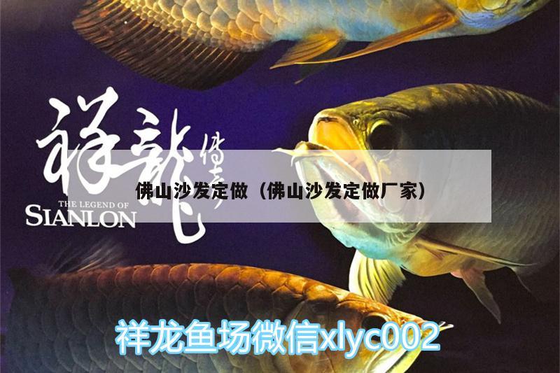 佛山沙發(fā)定做（佛山沙發(fā)定做廠家） 月光鴨嘴魚