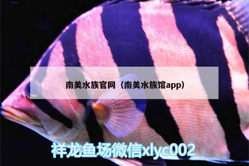 南美水族官網(wǎng)（南美水族館app）