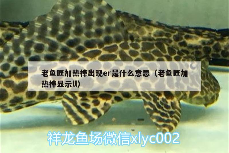 老魚匠加熱棒出現(xiàn)er是什么意思（老魚匠加熱棒顯示ll） 老魚匠