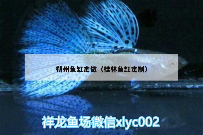 朔州魚缸定做（桂林魚缸定制）