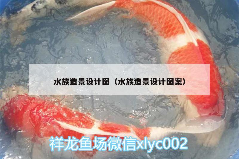 水族造景設(shè)計(jì)圖（水族造景設(shè)計(jì)圖案） 觀賞魚市場(chǎng)