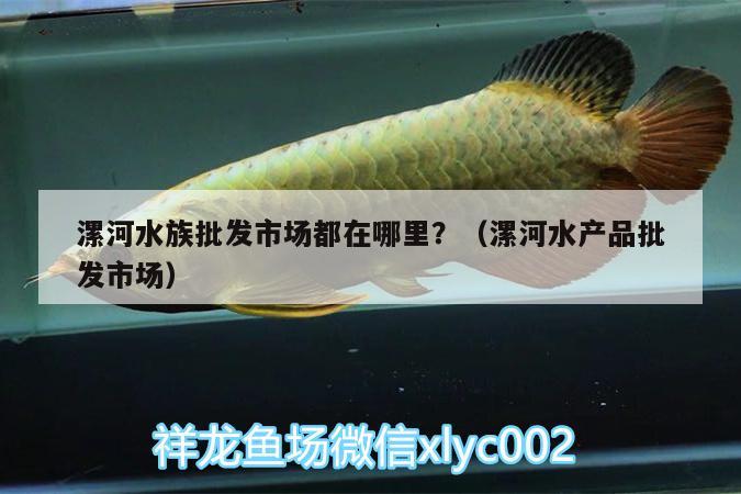 漯河水族批發(fā)市場都在哪里？（漯河水產品批發(fā)市場）