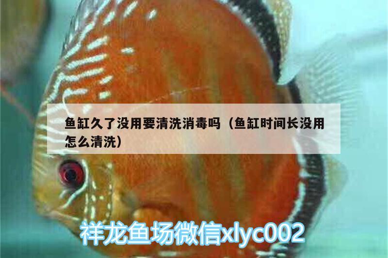 魚缸久了沒用要清洗消毒嗎（魚缸時間長沒用怎么清洗）